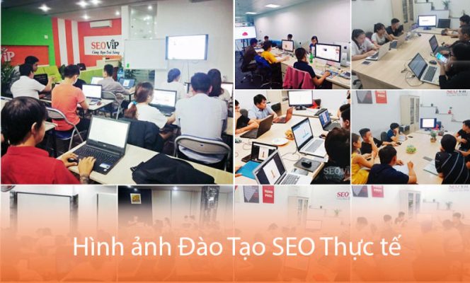 Đào tạo SEO Đà Nẵng